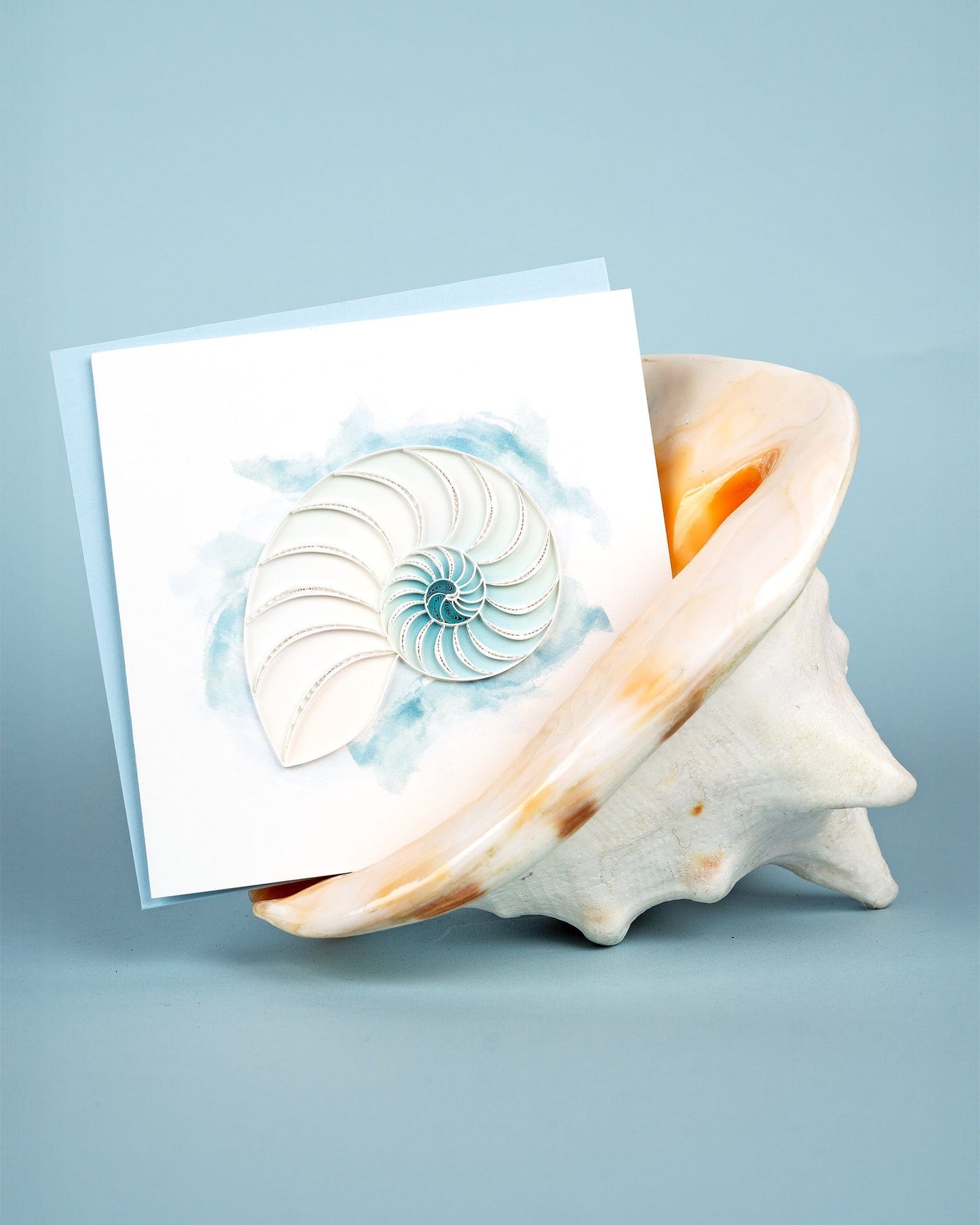 Abstract Nautilus Quilling Card