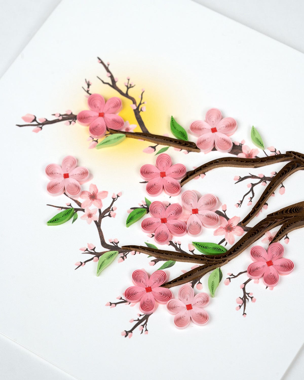 Cherry Blossoms Quilling Card