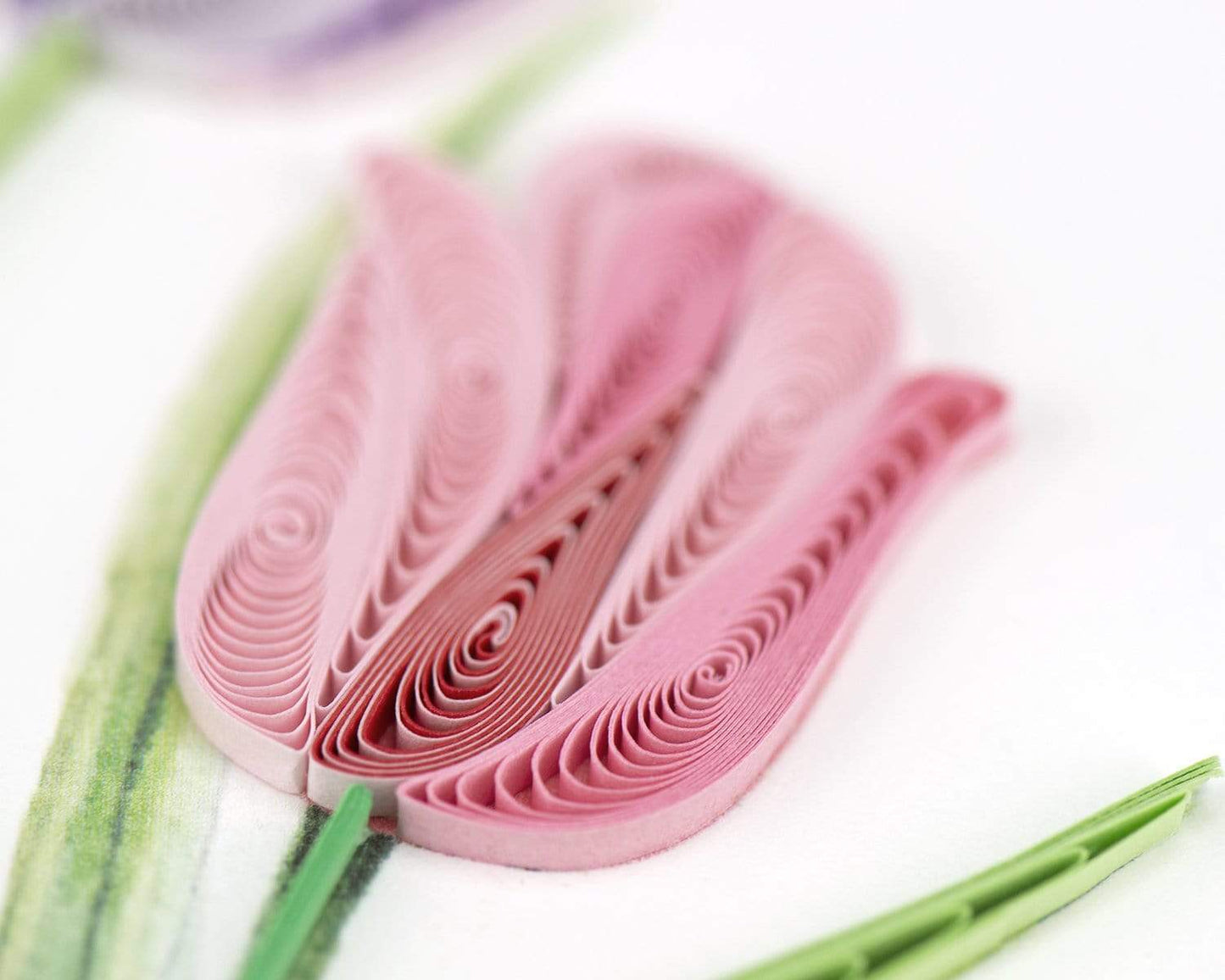 Colorful Tulips Quilling Card