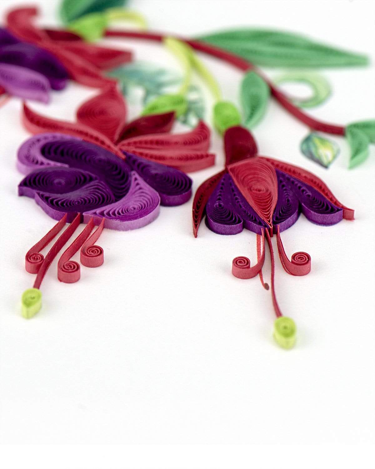 Fuchsia Quilling Card
