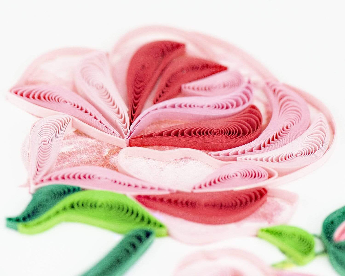 Long Stem Pink Roses Quilling Card