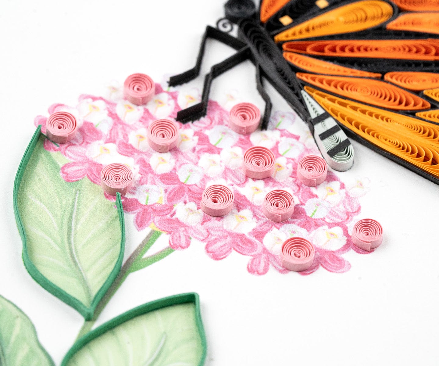 Monarch Milkweed Butterfly Quilling Card