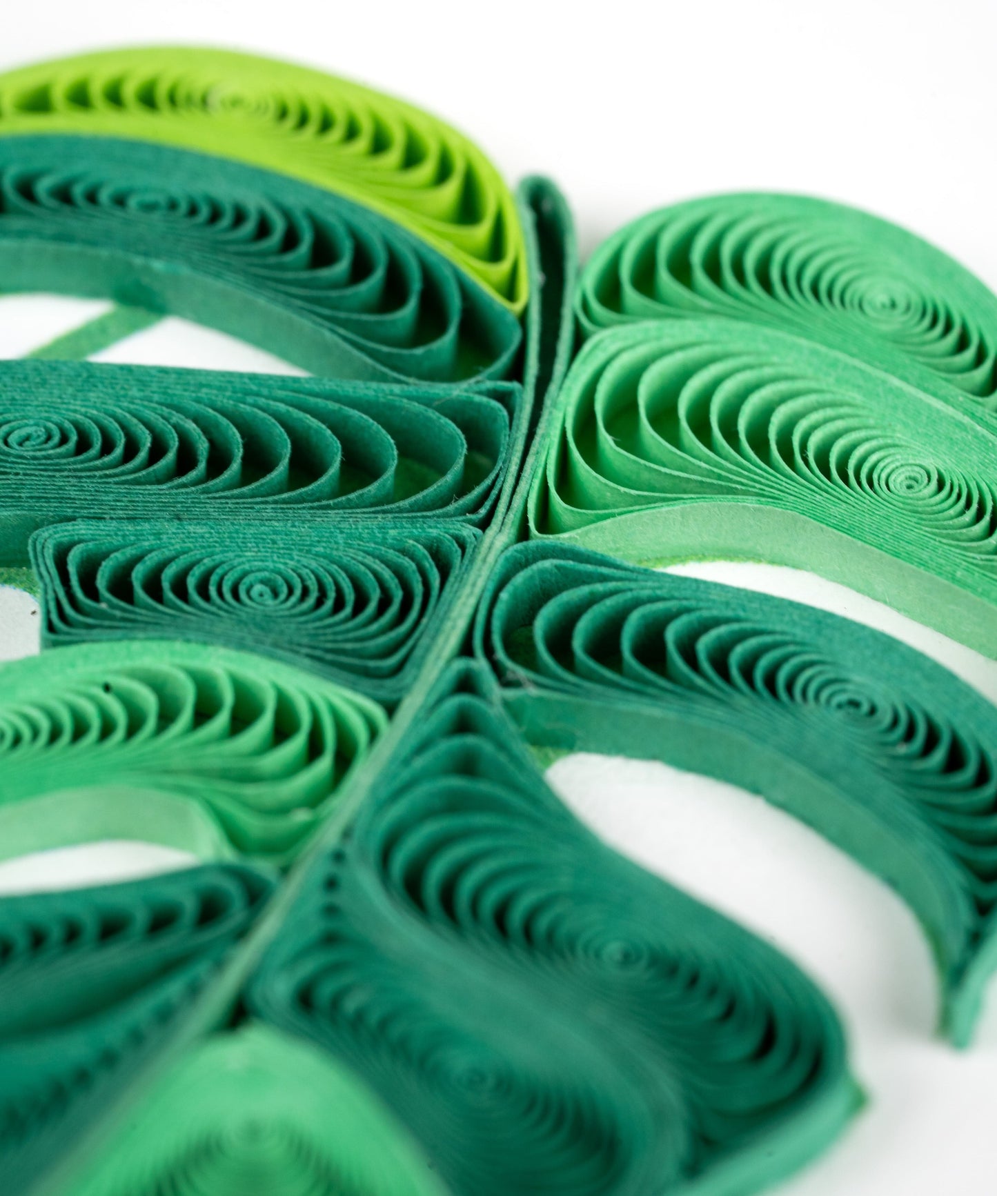 Monstera Quilling Card