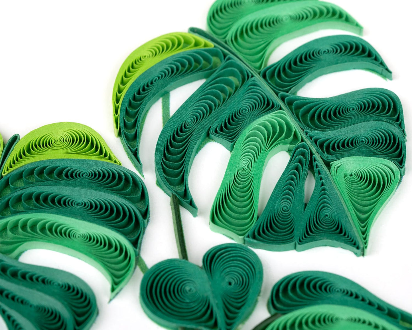 Monstera Quilling Card