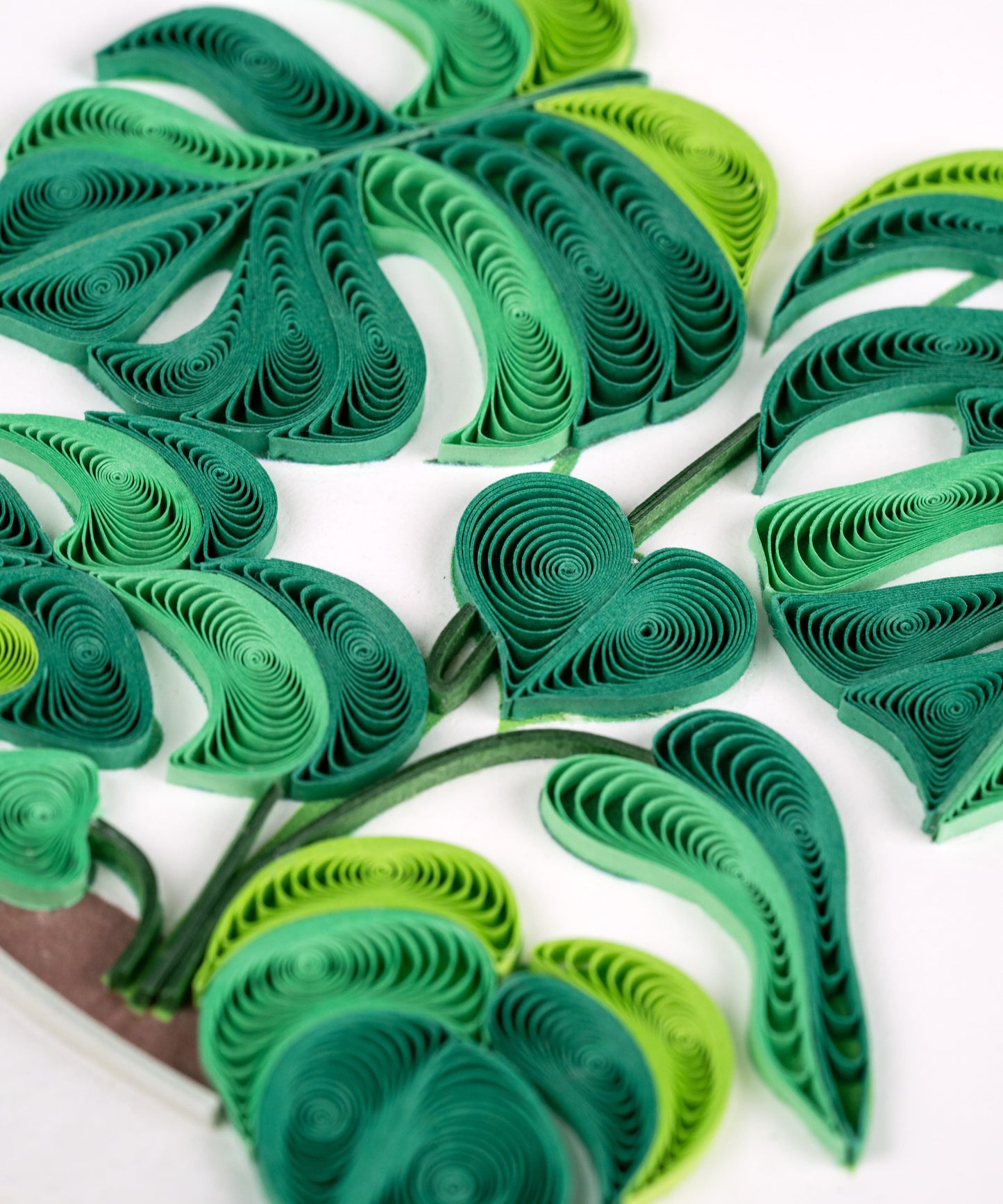 Monstera Quilling Card