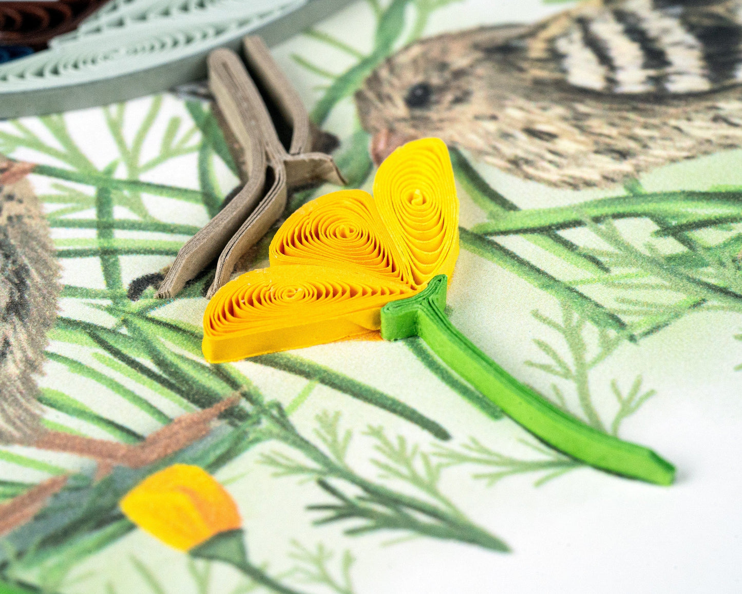 Quail with Chicks & Poppies Quilling Card