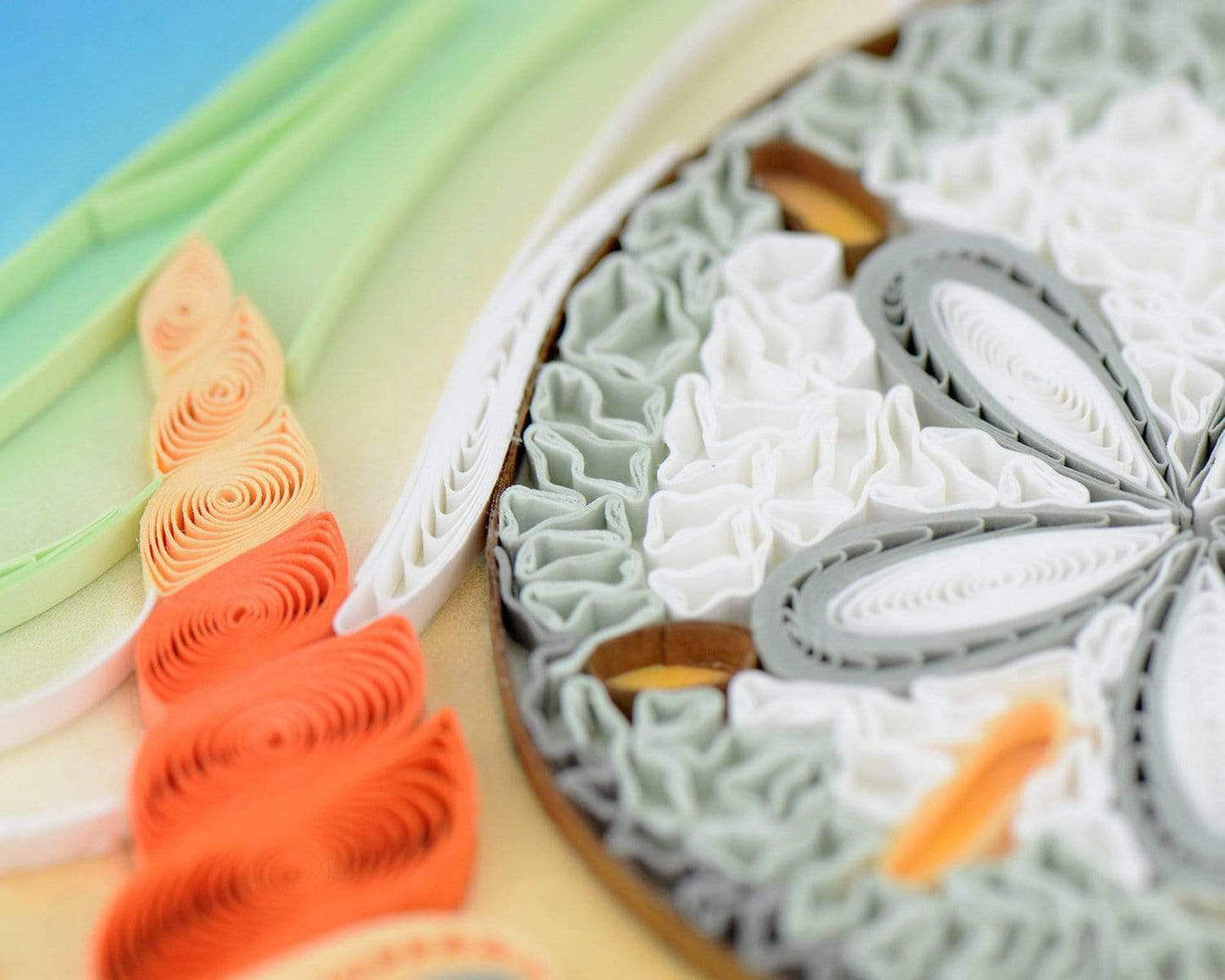 Sand Dollar Quilling Card
