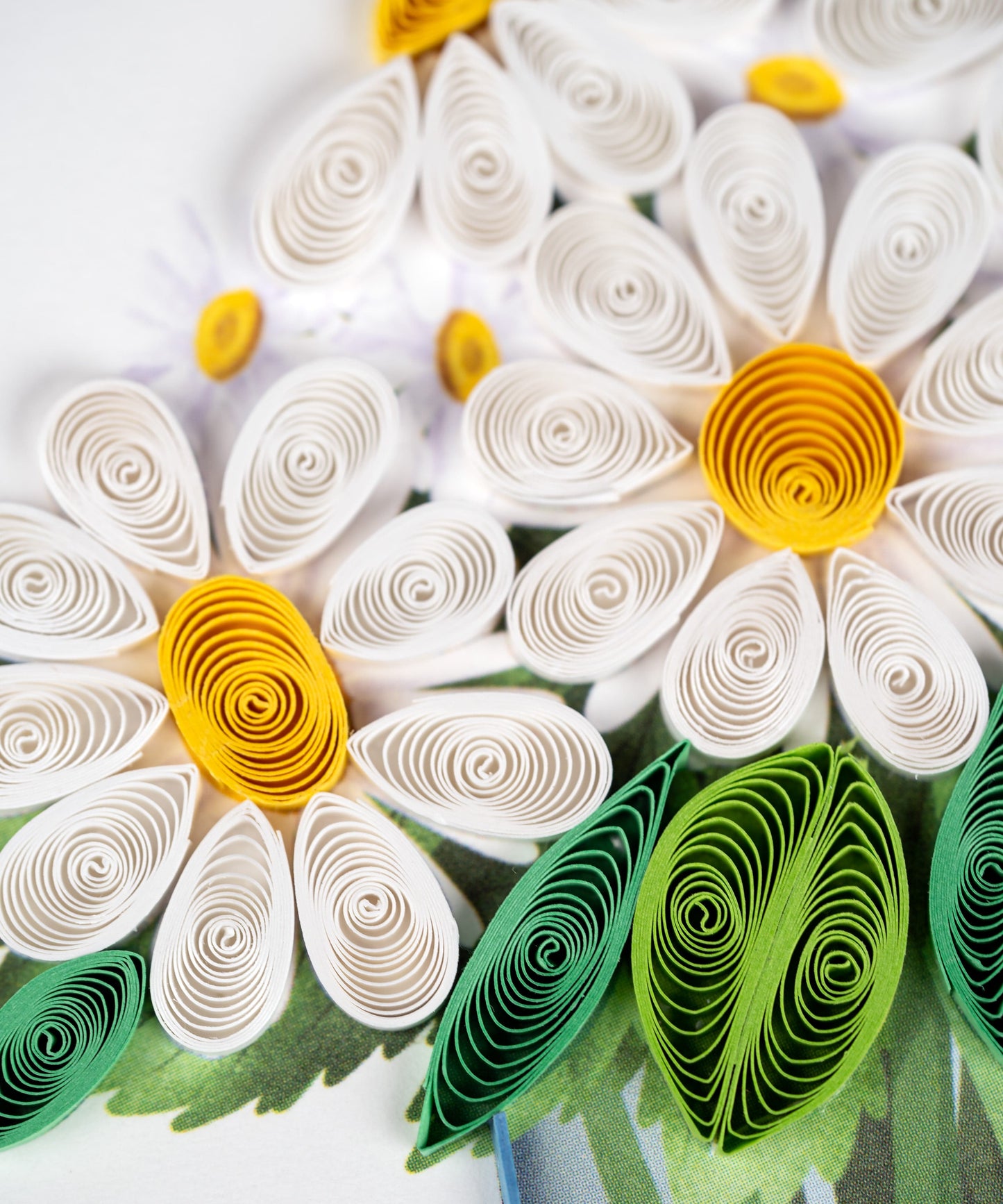 White Daisies in Jar Quilling Card