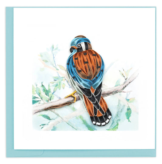 American Kestrel Quilling Card 