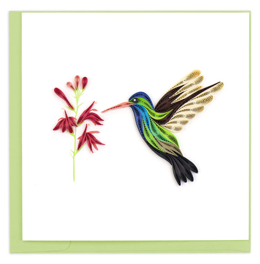 Broad-billed Hummingbird Quilling Card 