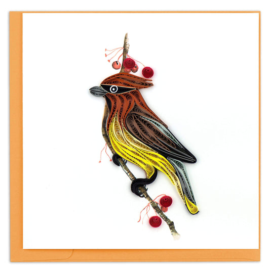 Cedar Waxwing Quilling Card 