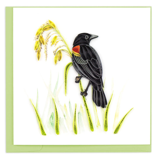 Red-winged Blackbird Quilling Card 